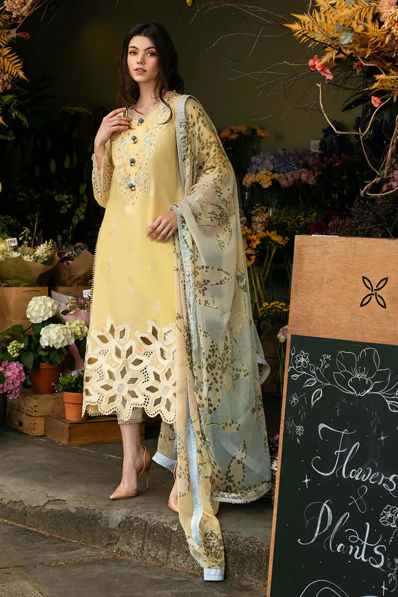 turbolight winter dress designs 2025 new-arrivals dhanak collection khaddar velvet online end year sale dhanak dress design