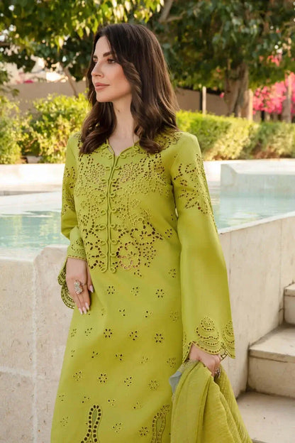 3 Piece Unstitched Heavy Embroidered Chickan Kari Lawn Suit with Four-sided Embroidered Organza Dupatta