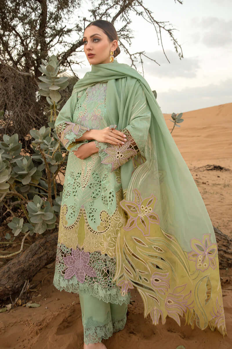 turbolight winter dress designs 2025 new-arrivals dhanak collection khaddar velvet online end year sale dhanak dress design