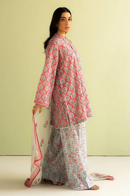 turbolight winter dress designs 2025 new-arrivals dhanak collection khaddar velvet online end year sale dhanak dress design