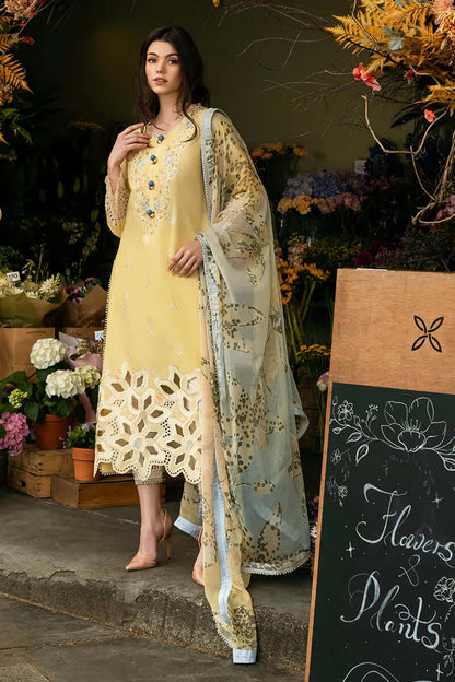 turbolight winter dress designs 2025 new-arrivals dhanak collection khaddar velvet online end year sale dhanak dress design